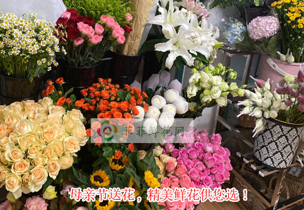 2024贵阳白云区母亲节送花,贵阳白云区精美鲜花供您选!